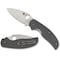 Spyderco 2023 Spyderco Reveal 6 Sage 1 G-10 Gray Maxamet Steel Plain Edge SPY-C123GPGY - alternate 1
